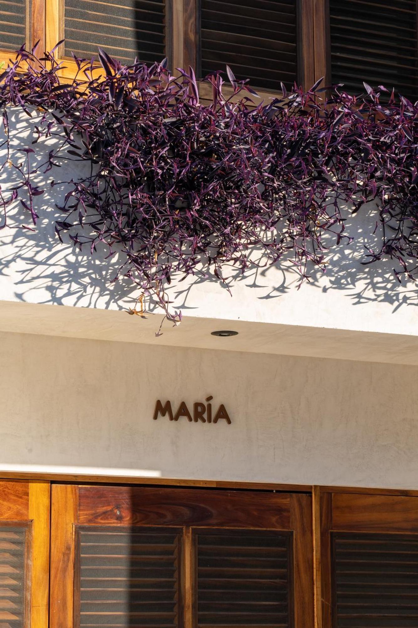 Brisas de Zicatela Casa Mava酒店 外观 照片